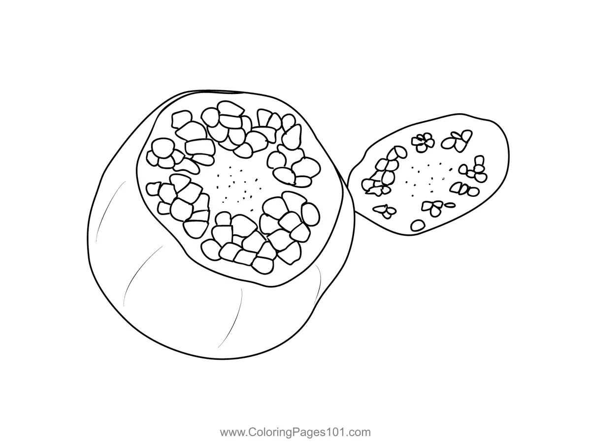 Pomegranate Coloring Pages 6