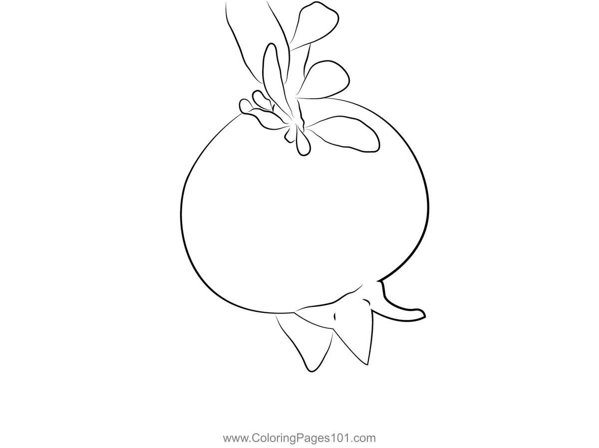 Pomegranate Coloring Pages 9