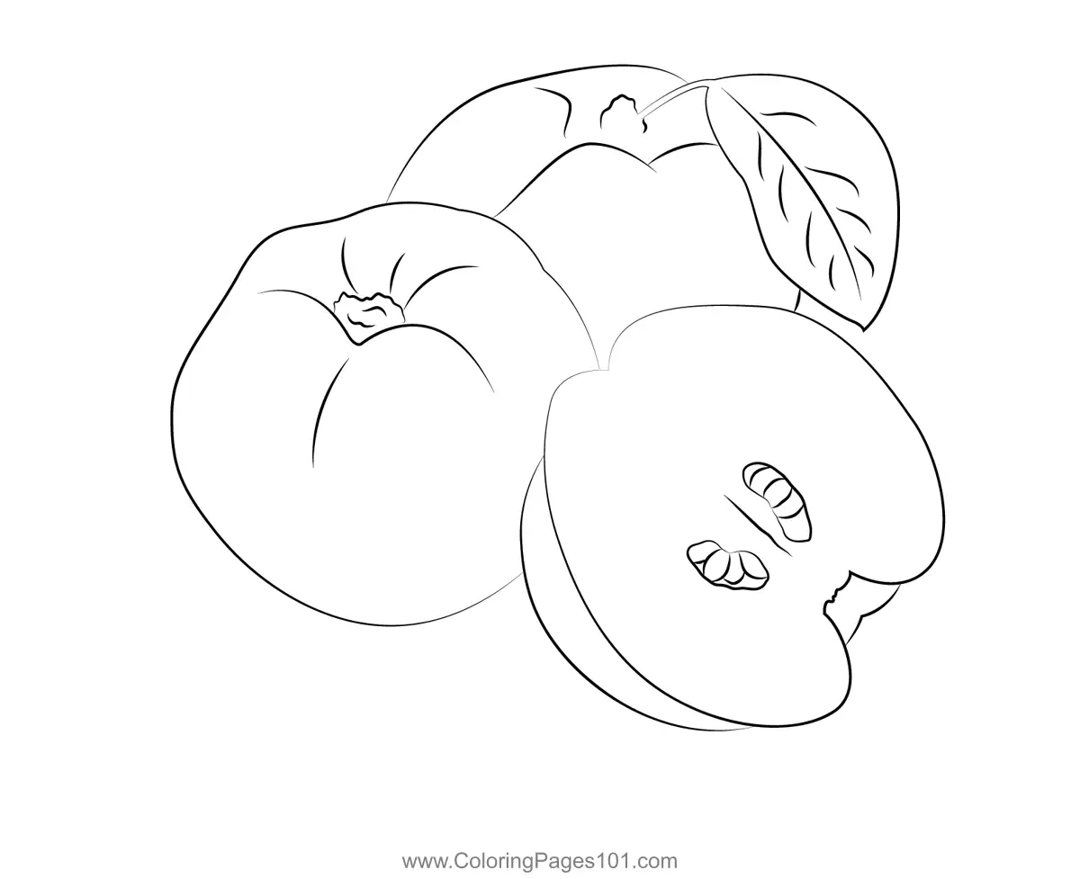 Quince Coloring Pages 11