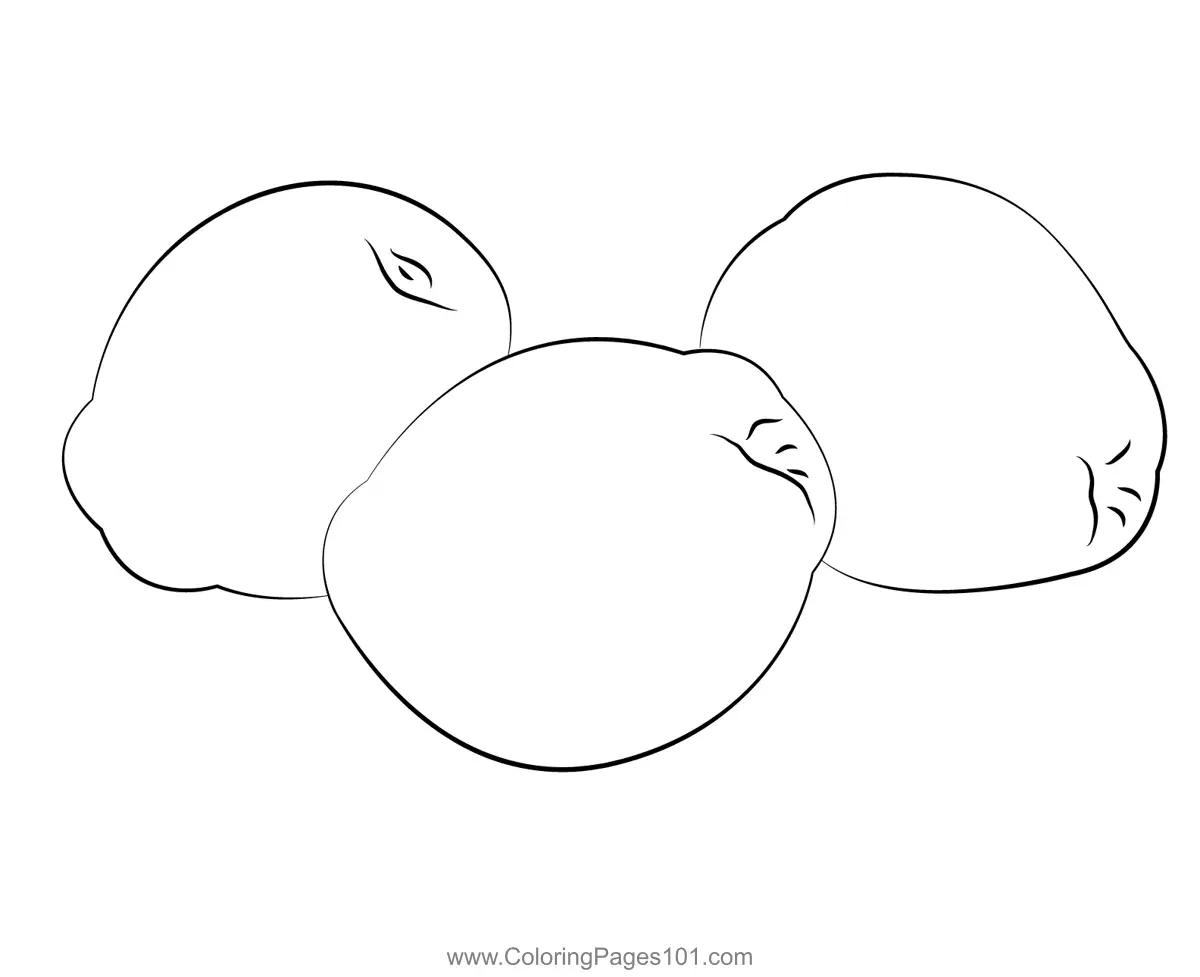 Quince Coloring Pages 4