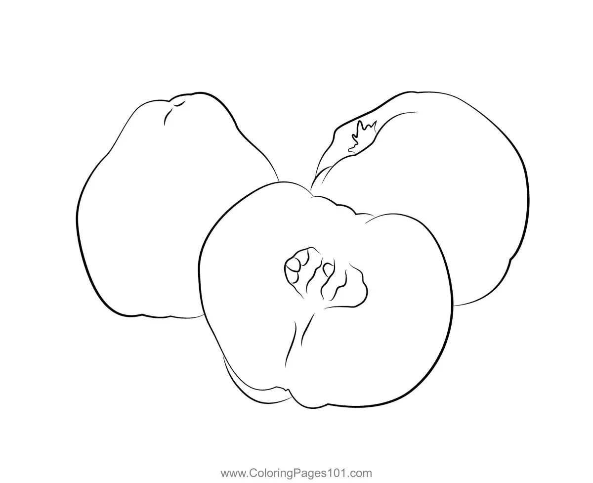 Quince Coloring Pages 5