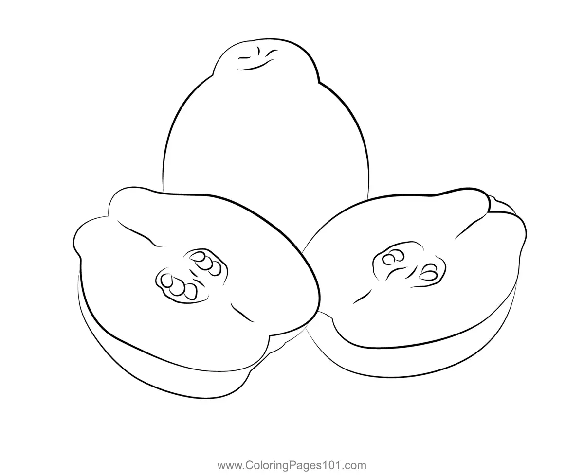 Quince Coloring Pages 7