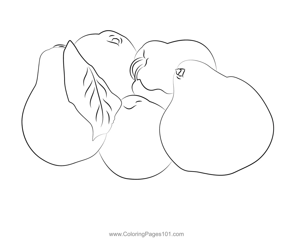 Quince Coloring Pages 8