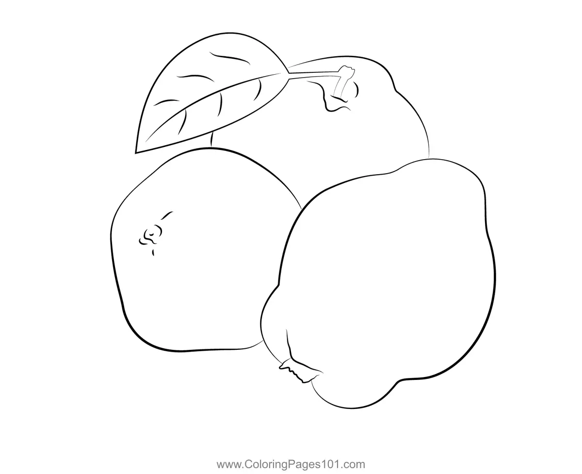 Quince Coloring Pages 9