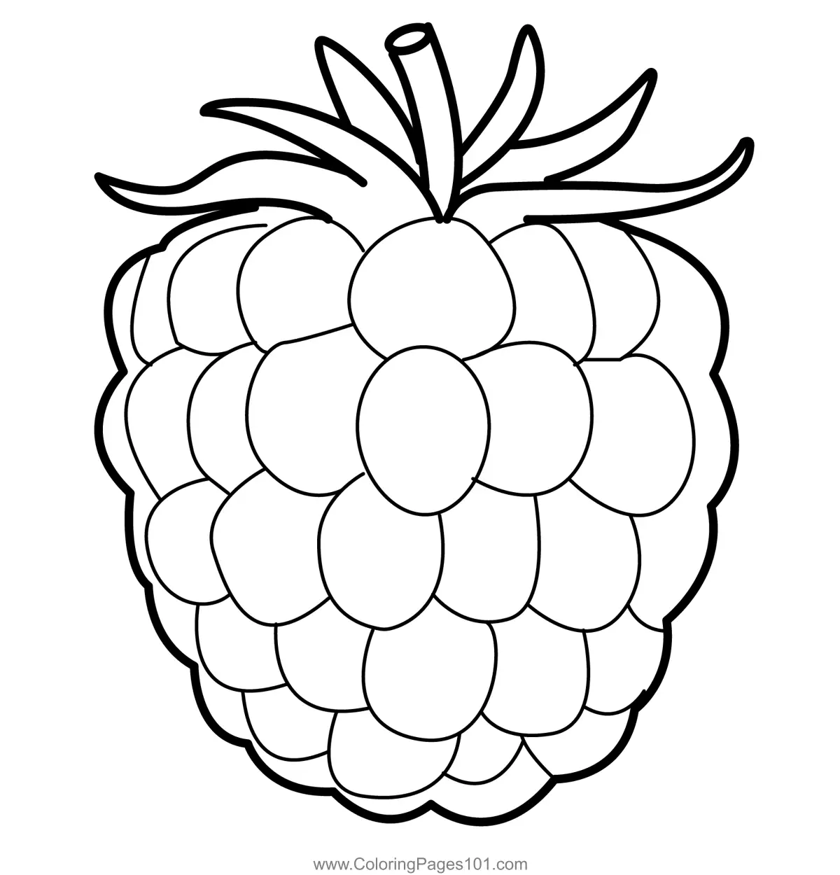 Raspberry Coloring Pages