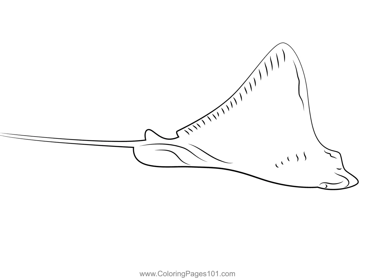 Rays Coloring Pages 1