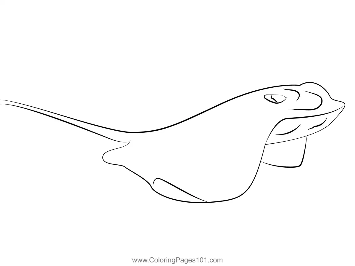 Rays Coloring Pages 11