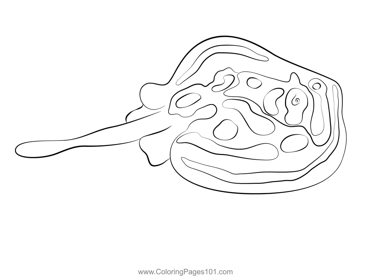 Rays Coloring Pages 2