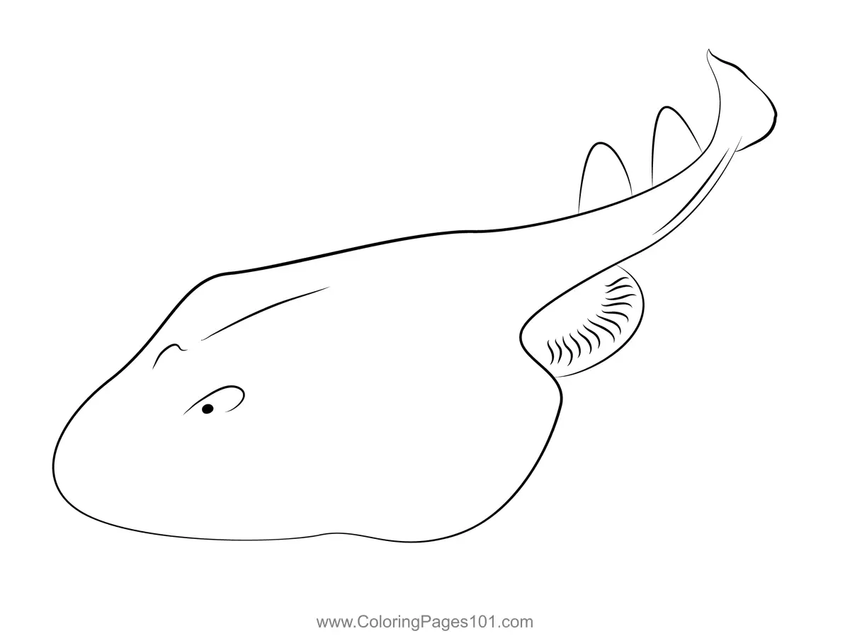Rays Coloring Pages 5