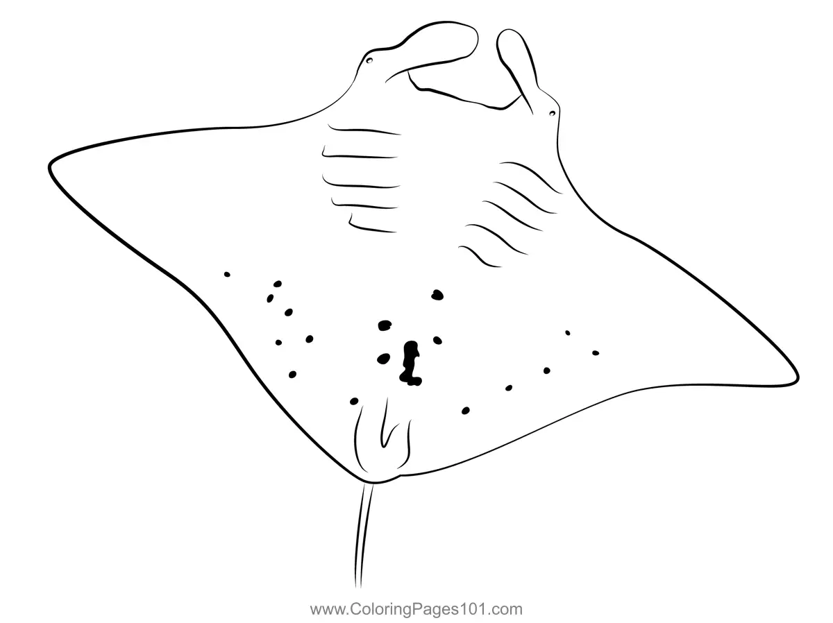 Rays Coloring Pages 8