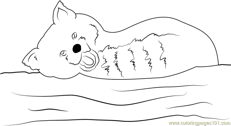 Red Panda Coloring Pages 1