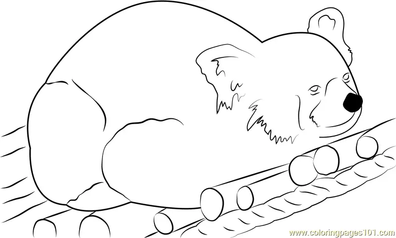Red Panda Coloring Pages 10