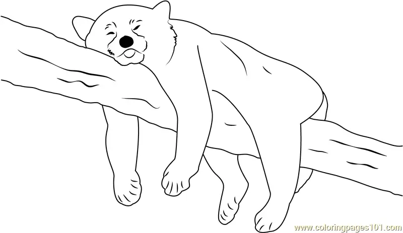 Red Panda Coloring Pages 11
