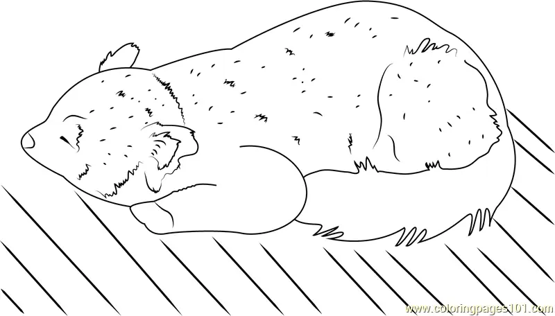 Red Panda Coloring Pages 2
