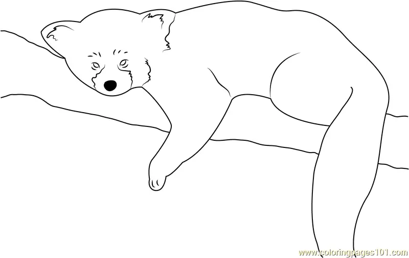 Red Panda Coloring Pages 3