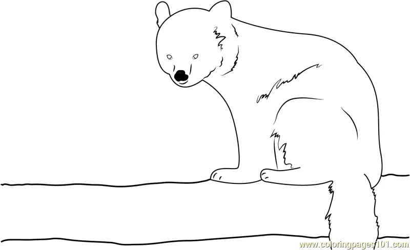 Red Panda Coloring Pages 4