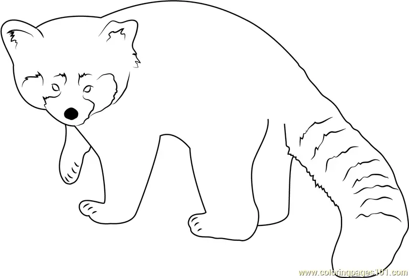 Red Panda Coloring Pages 5