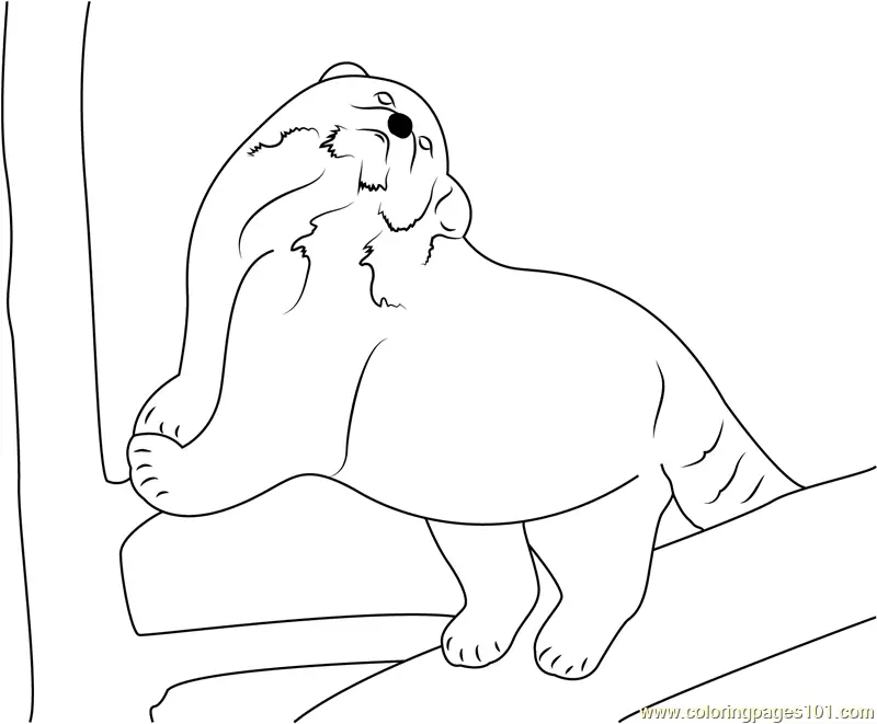 Red Panda Coloring Pages 8