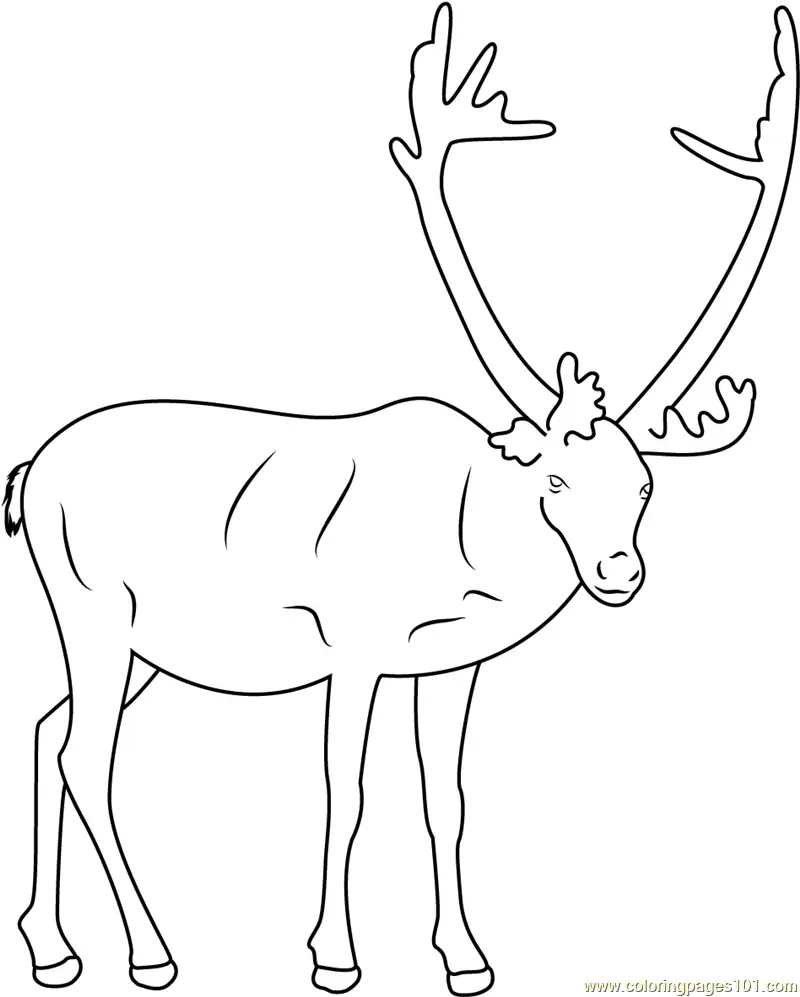 Reindeer Coloring Pages 8