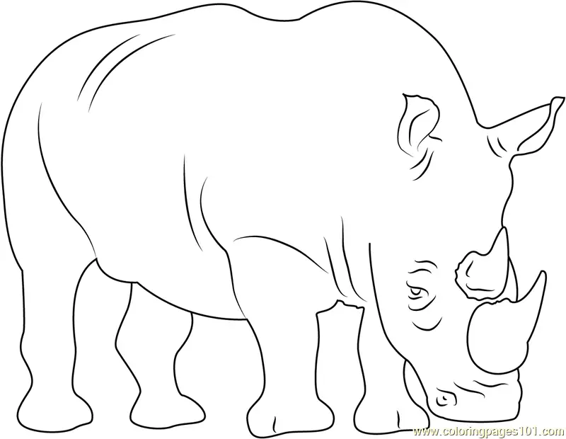 Rhinoceros Coloring Pages 1