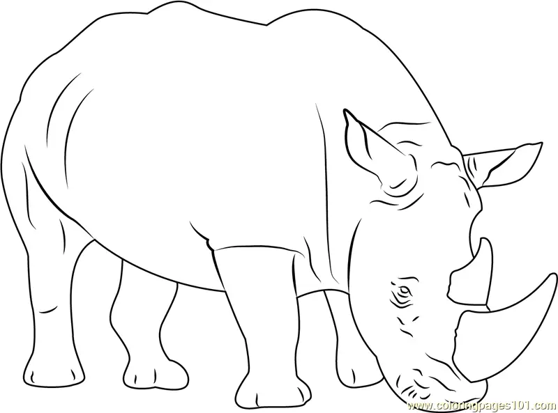 Rhinoceros Coloring Pages 2