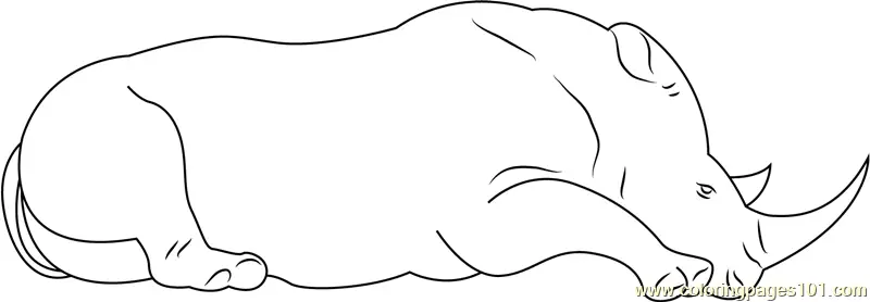 Rhinoceros Coloring Pages 7