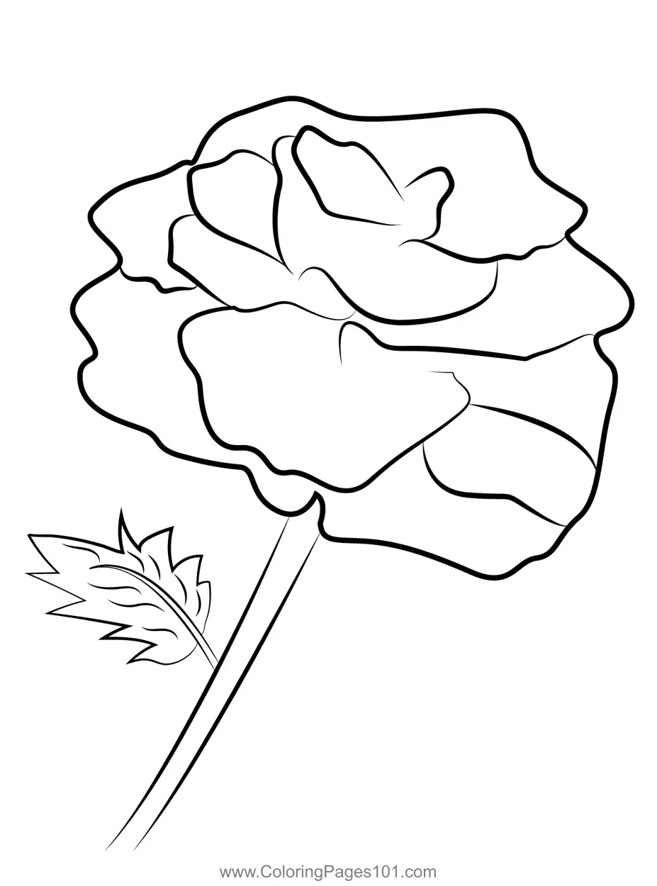 Rose Coloring Pages 5