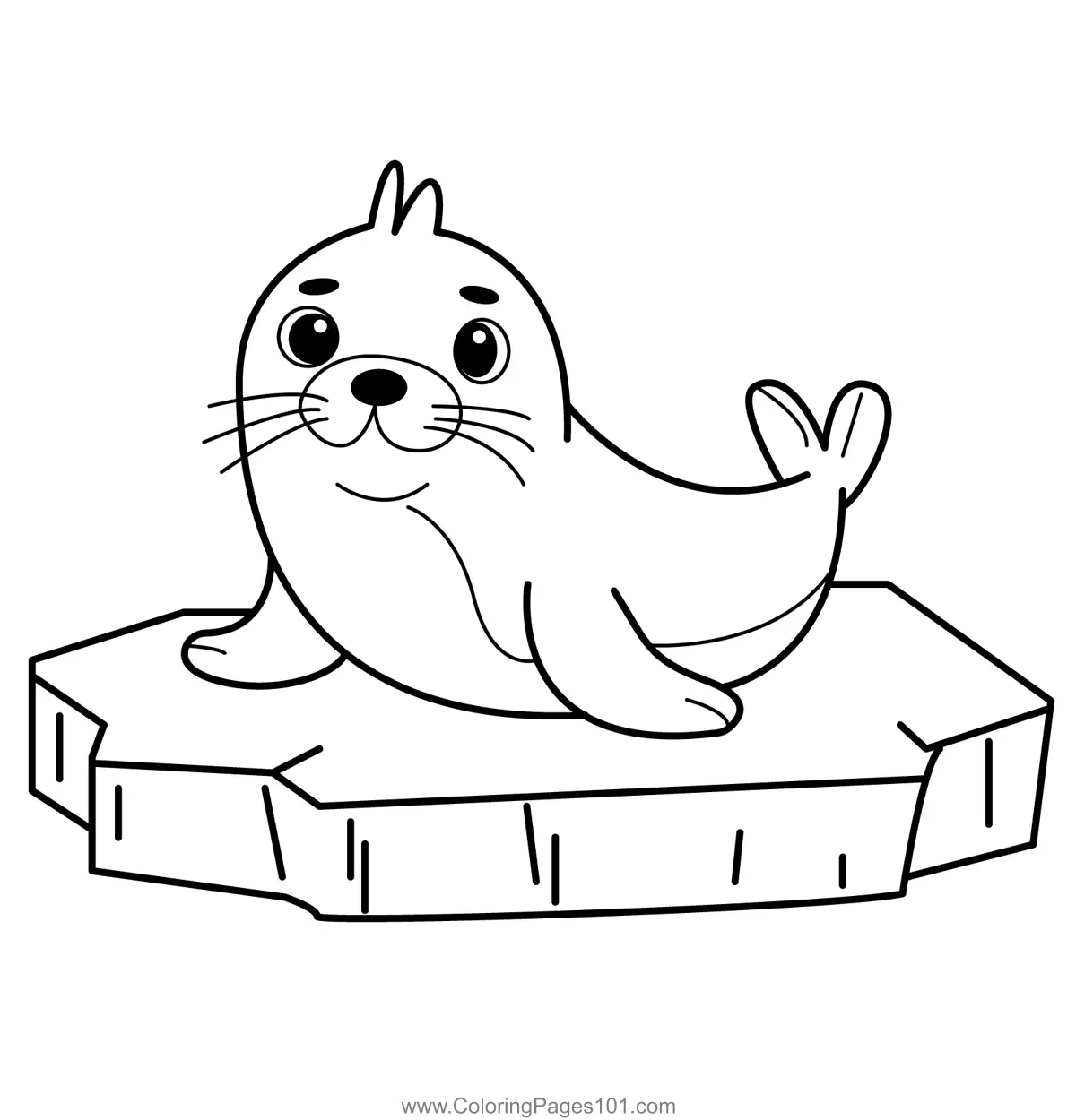 Seal Coloring Pages
