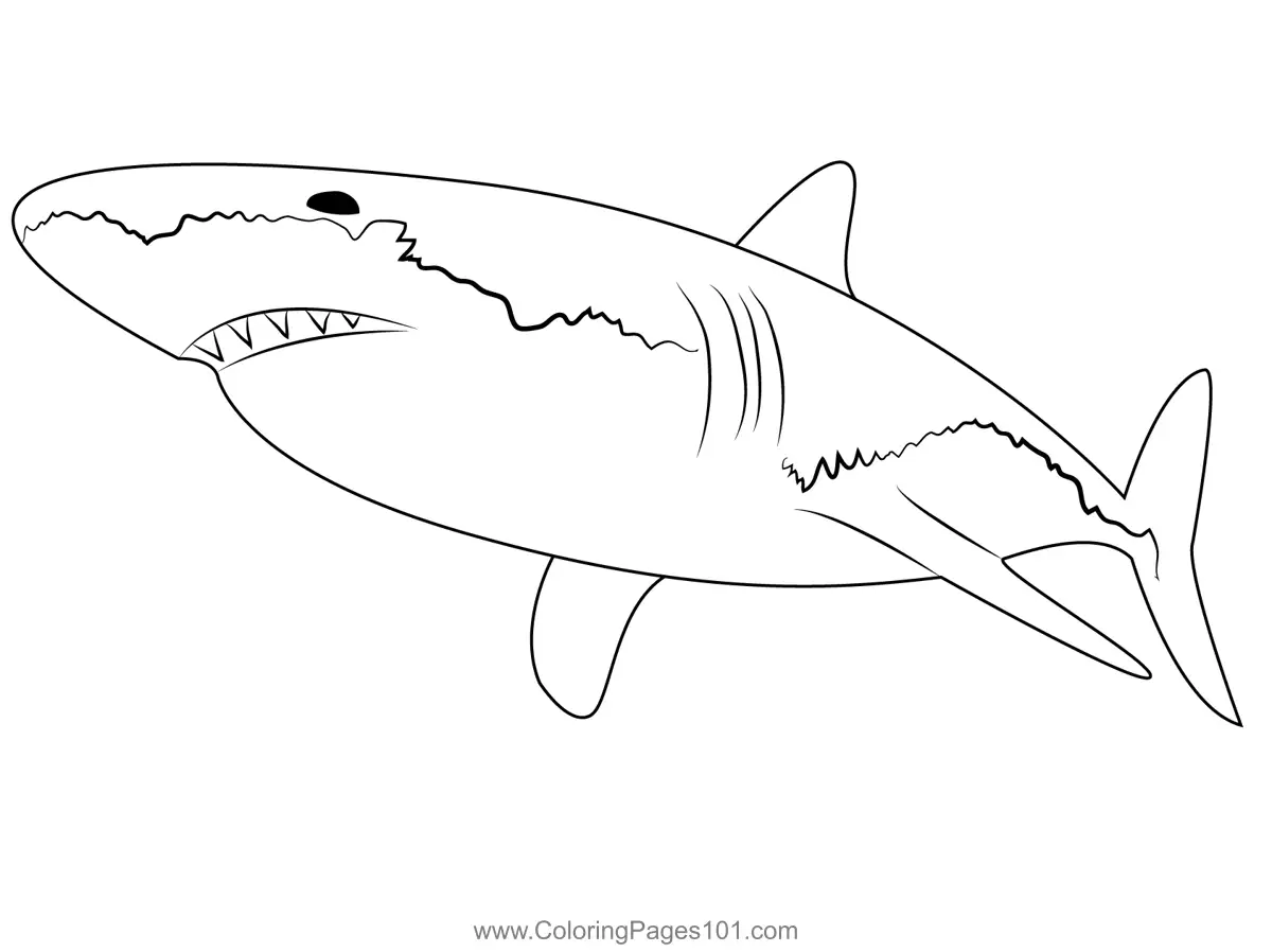 Sharks Coloring Pages 1