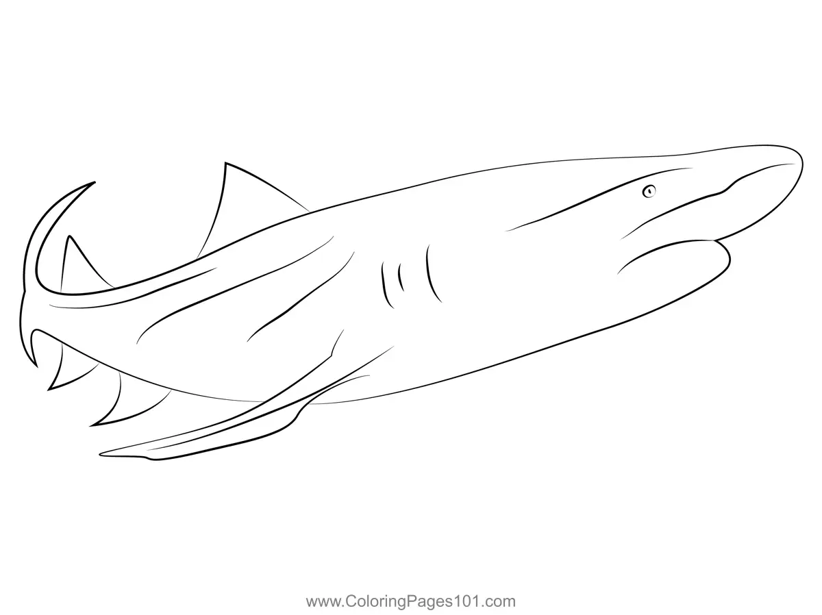 Sharks Coloring Pages 10