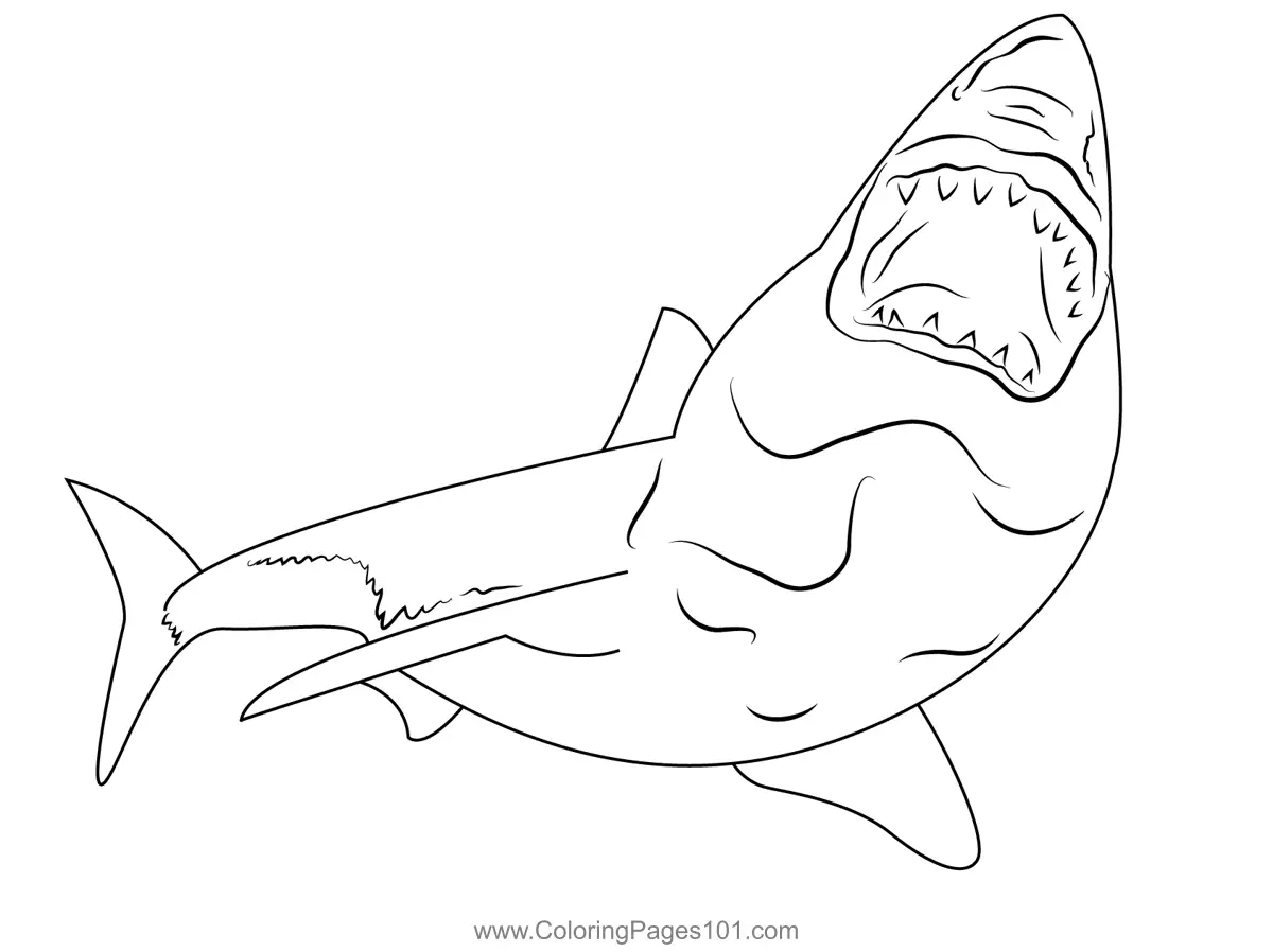 Sharks Coloring Pages 11