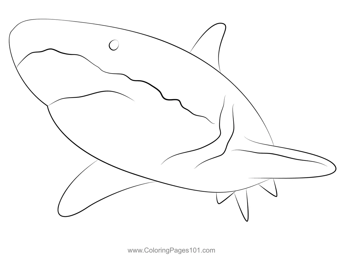 Sharks Coloring Pages 3