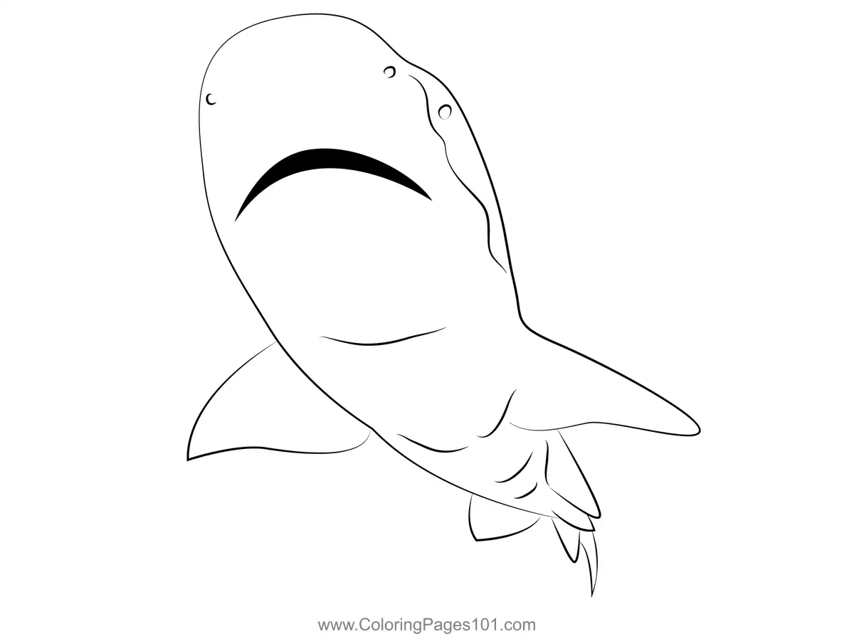 Sharks Coloring Pages 4