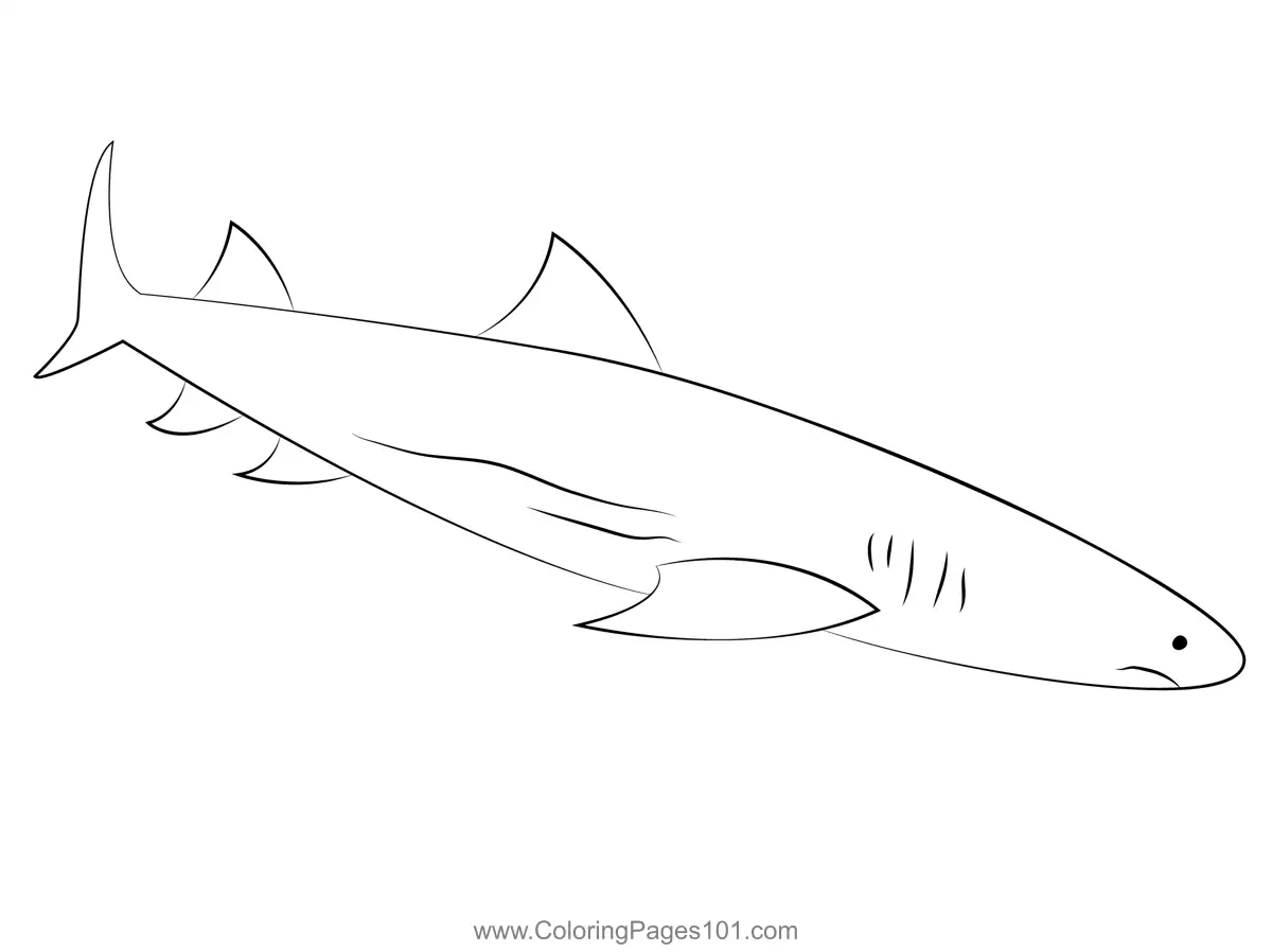 Sharks Coloring Pages 5