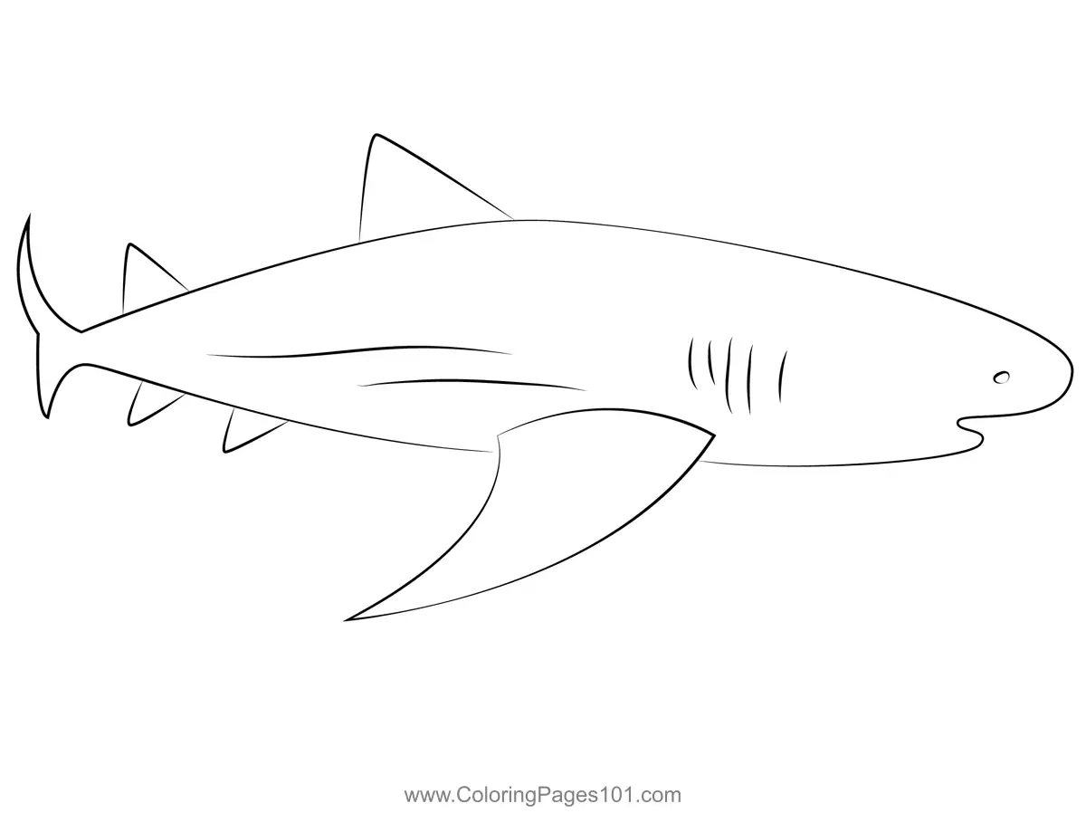 Sharks Coloring Pages 7
