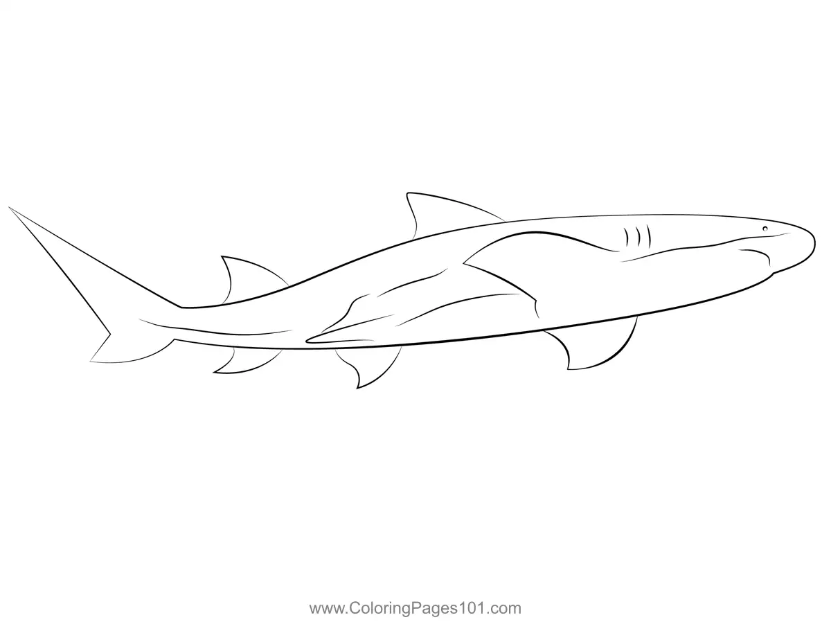 Sharks Coloring Pages 8