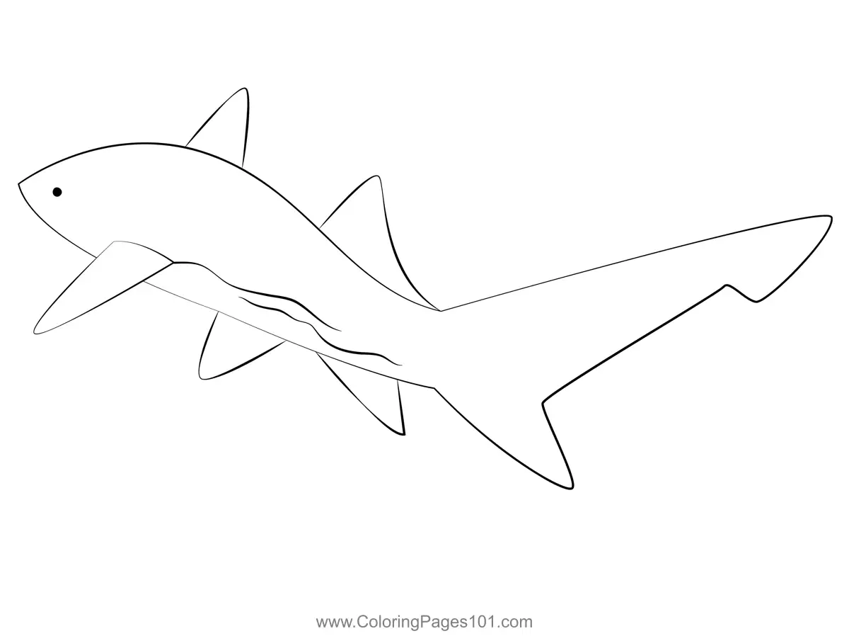 Sharks Coloring Pages 9