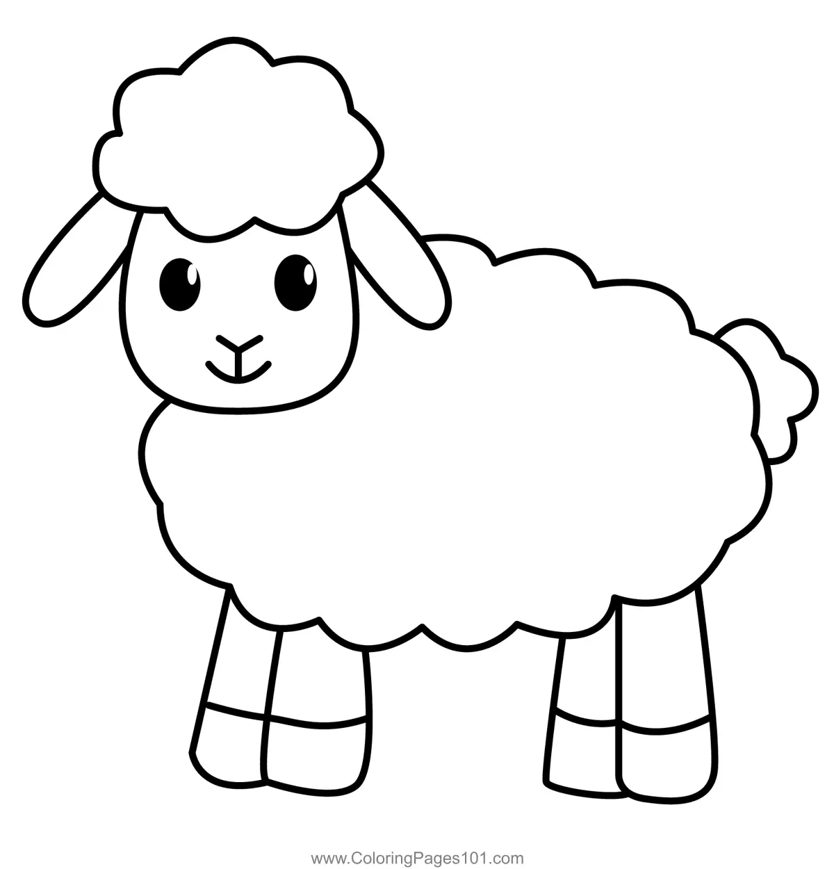Sheep Coloring Pages 1