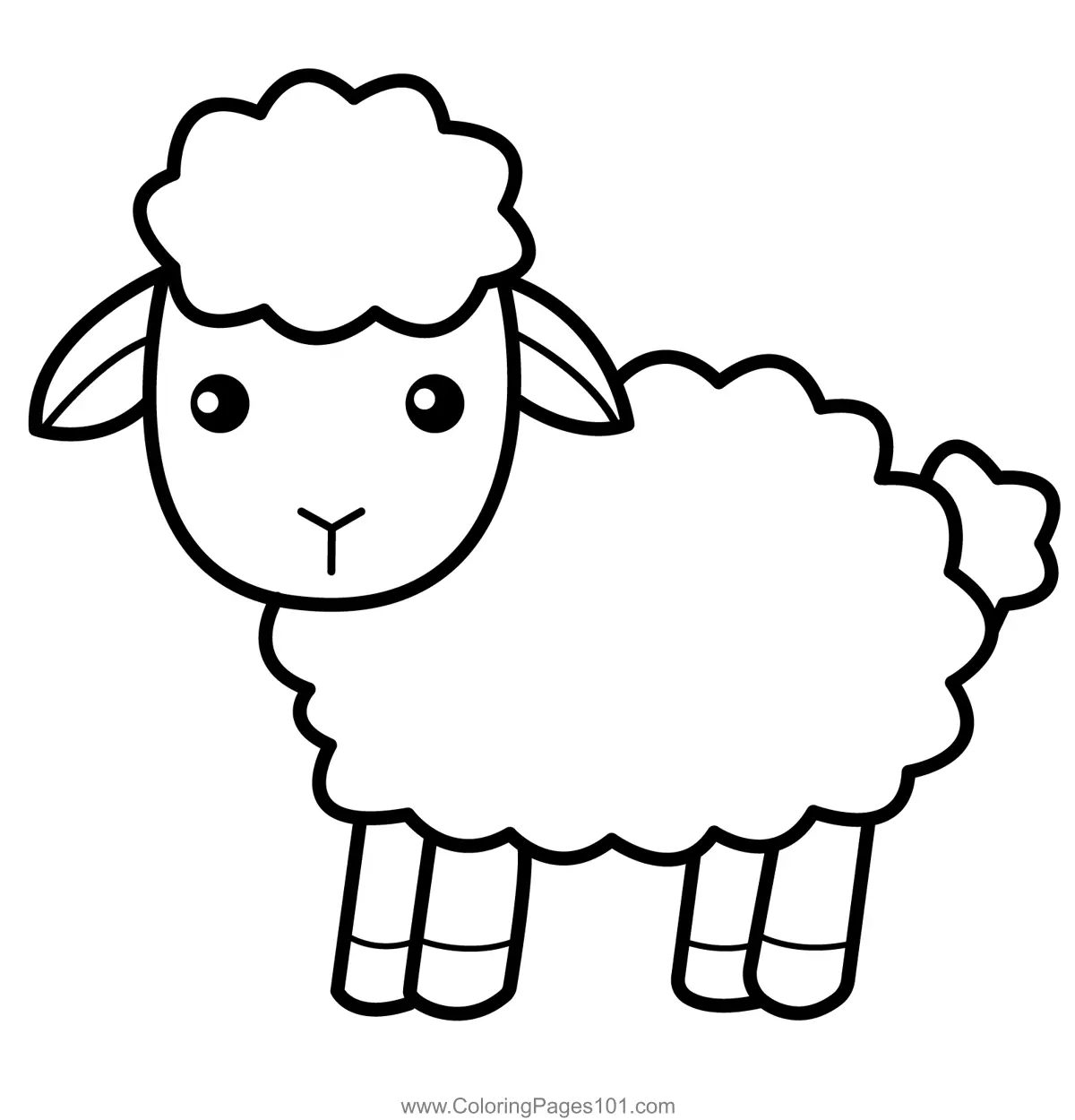 Sheep Coloring Pages 2