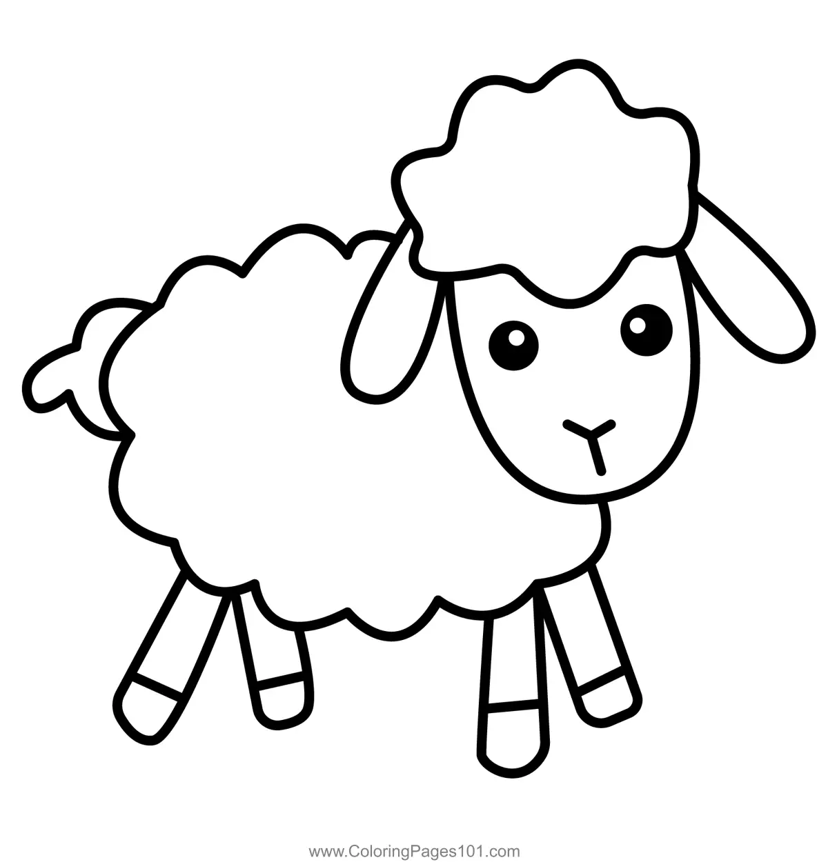 Sheep Coloring Pages 3
