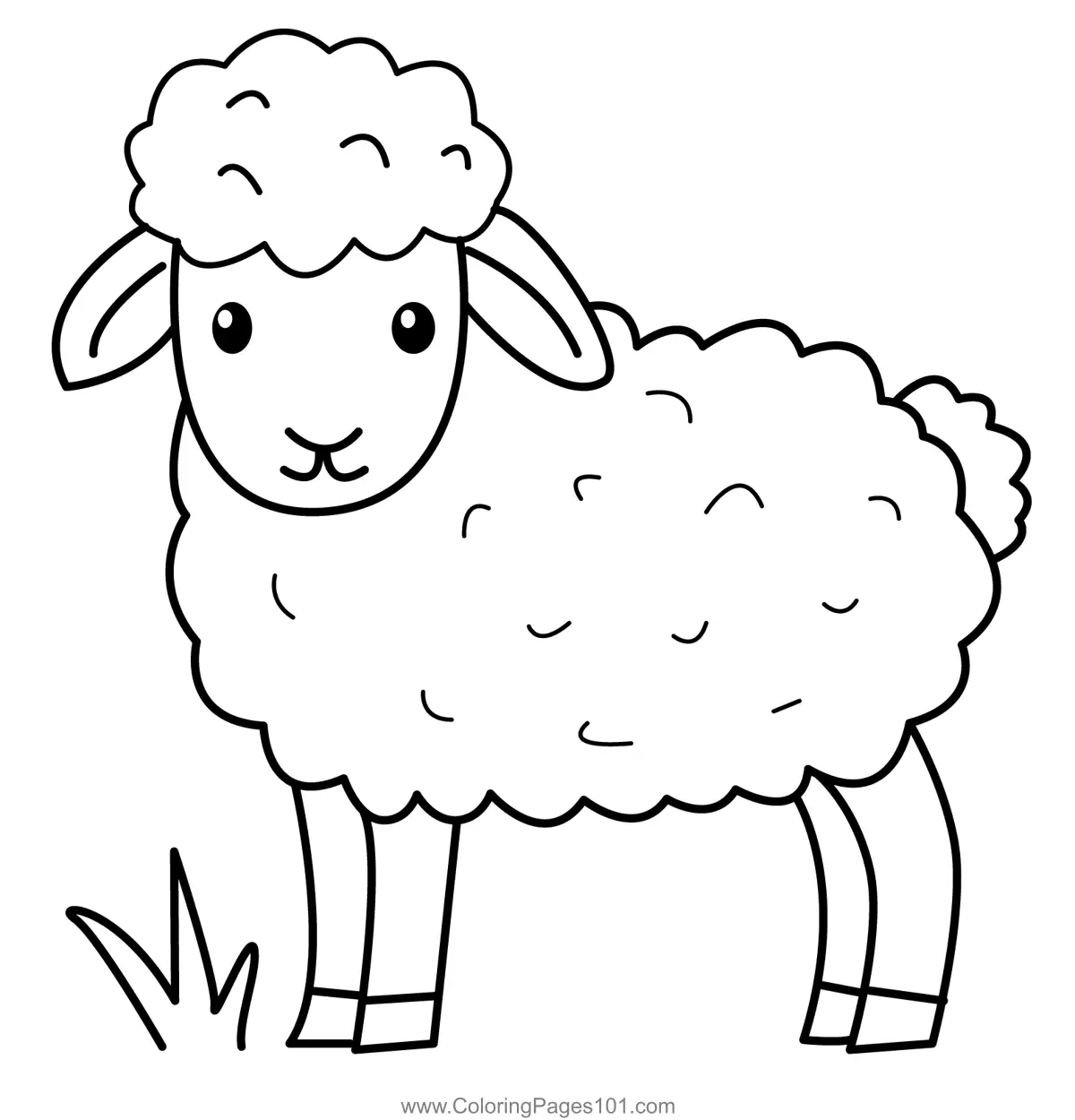 Sheep Coloring Pages 5