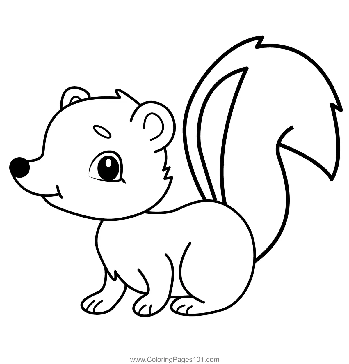 Skunk Coloring Pages