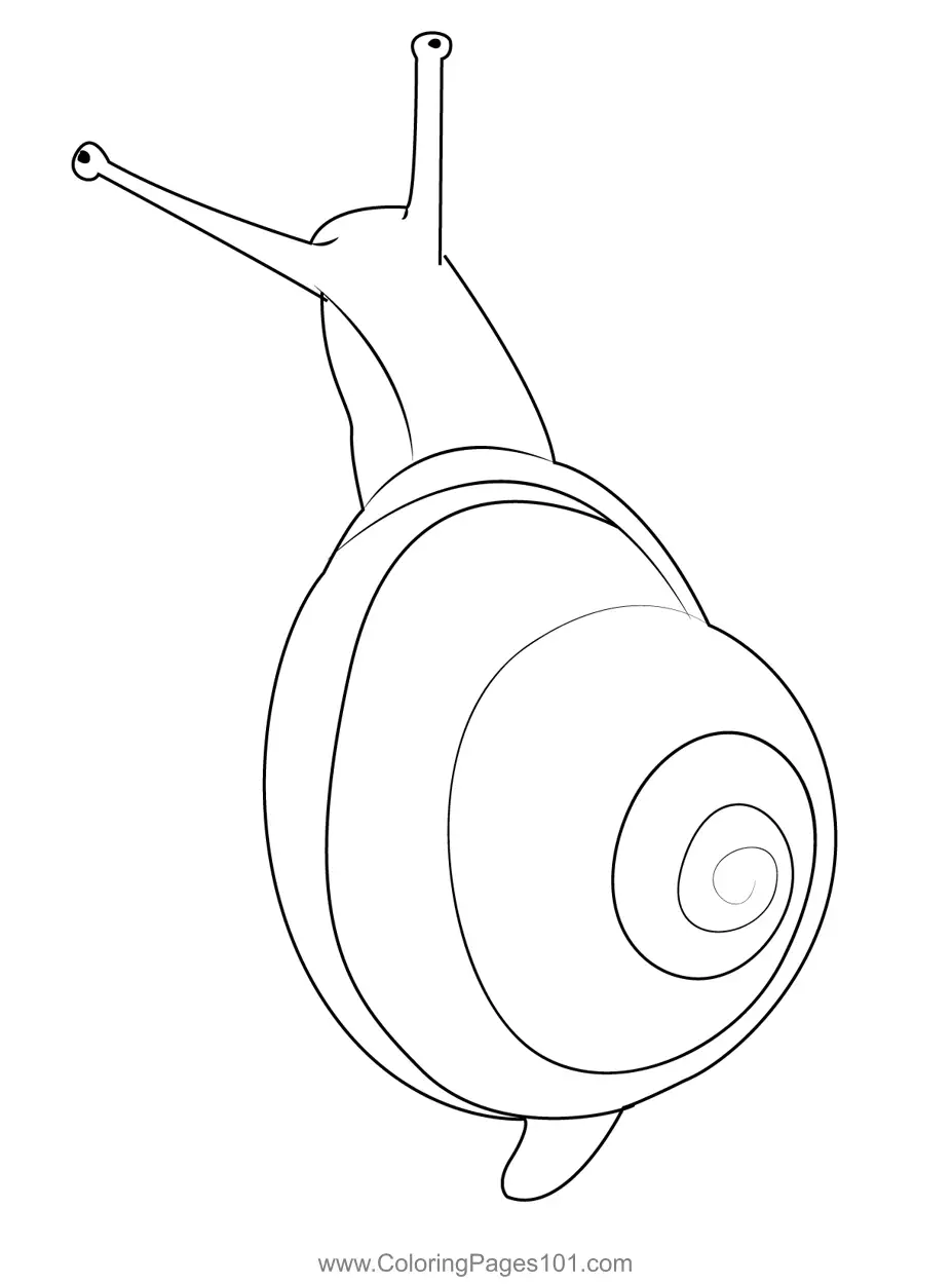 Snails Coloring Pages 1