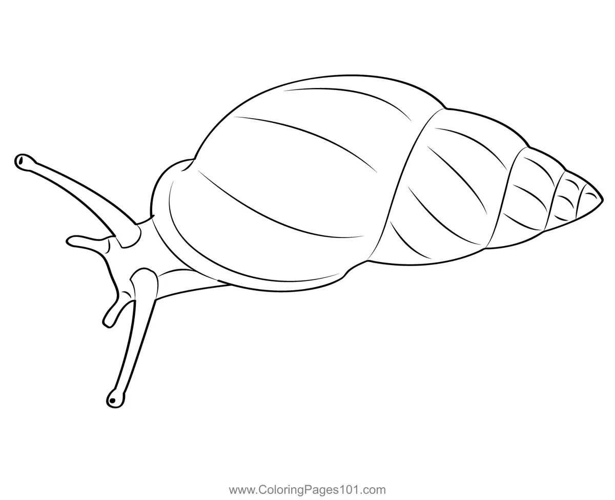 Snails Coloring Pages 10