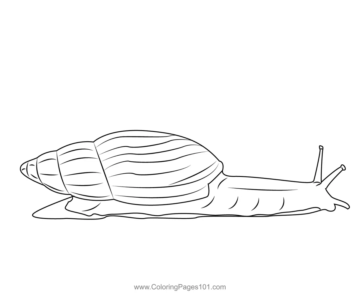 Snails Coloring Pages