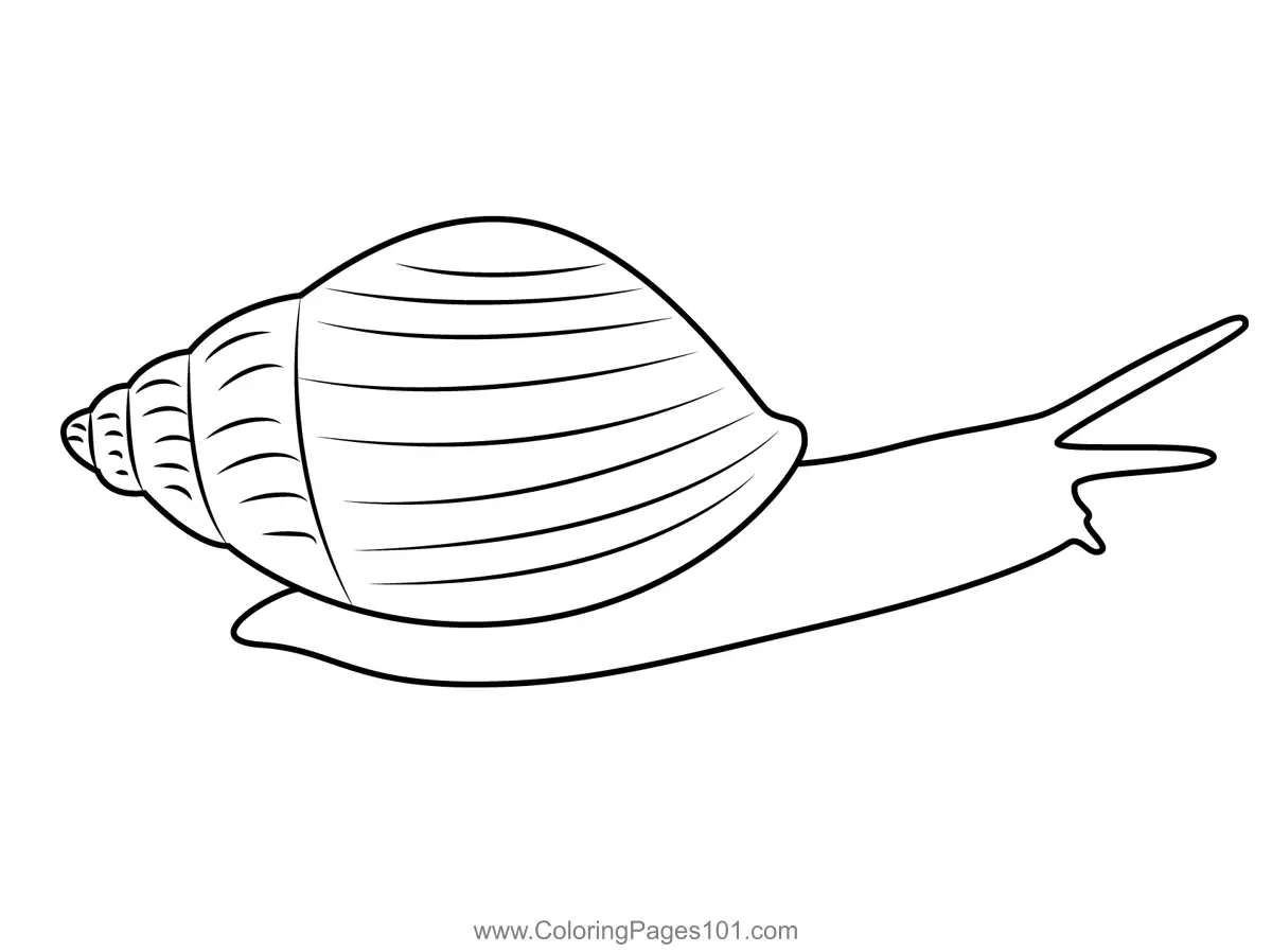 Snails Coloring Pages 2