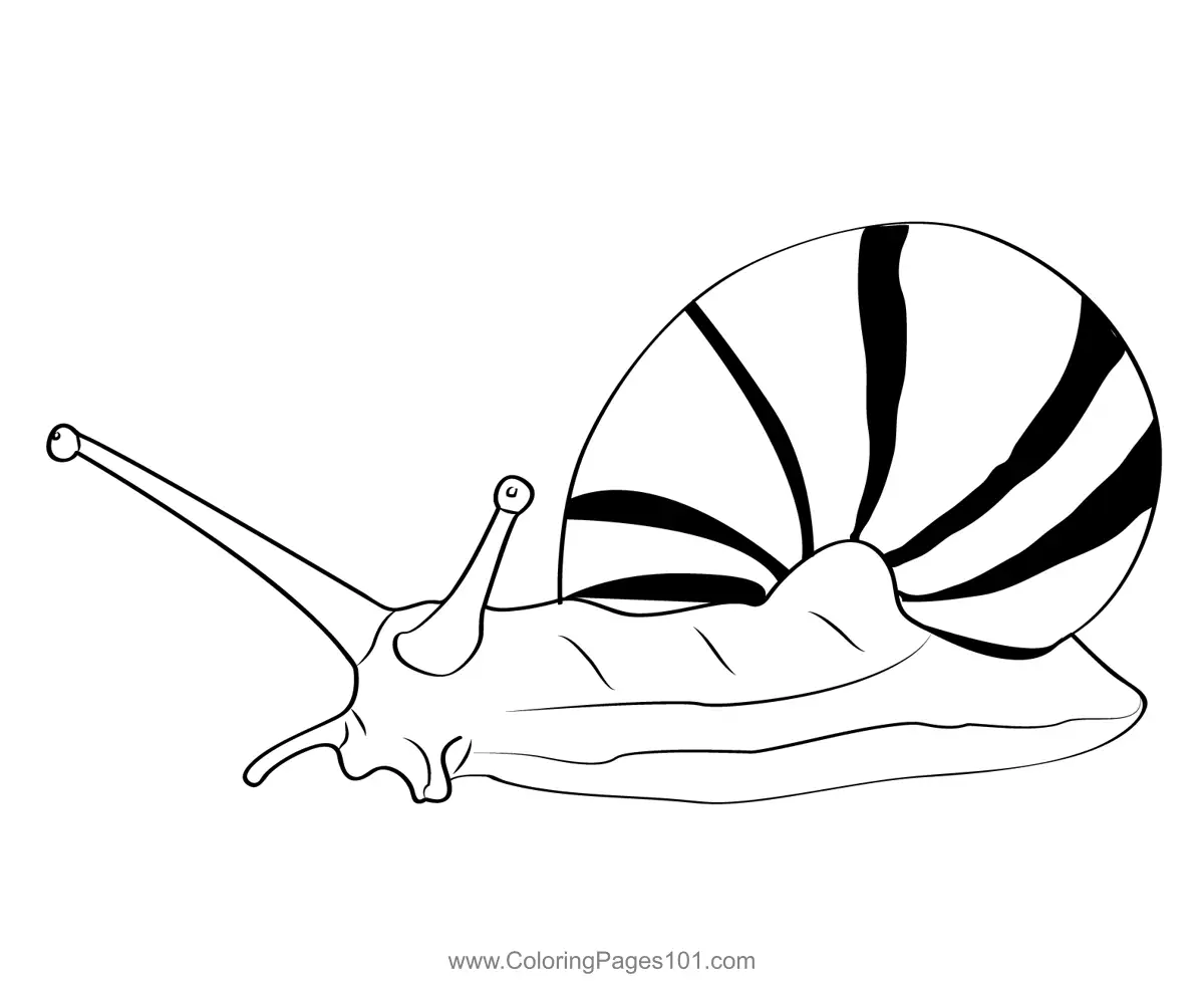 Snails Coloring Pages 4