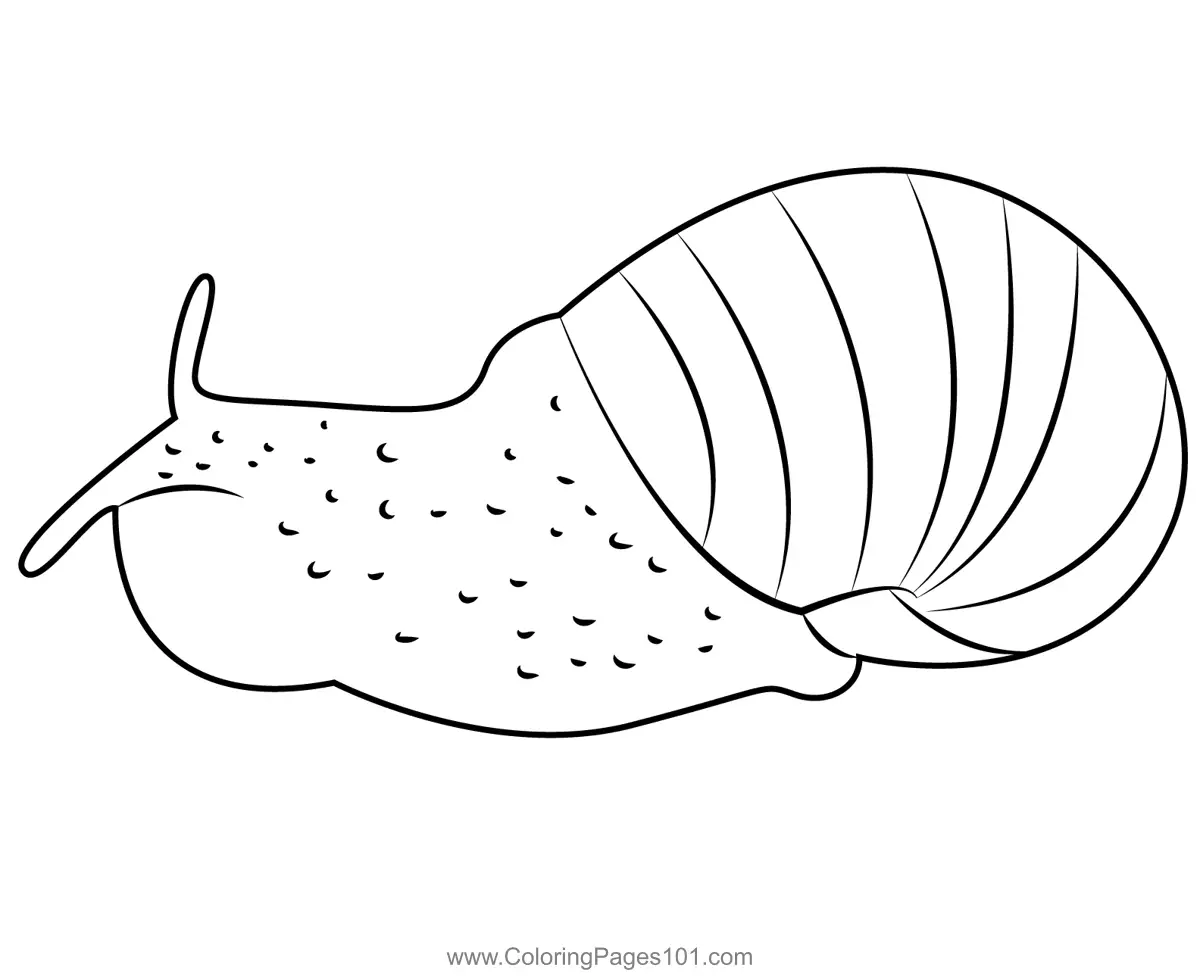 Snails Coloring Pages 5