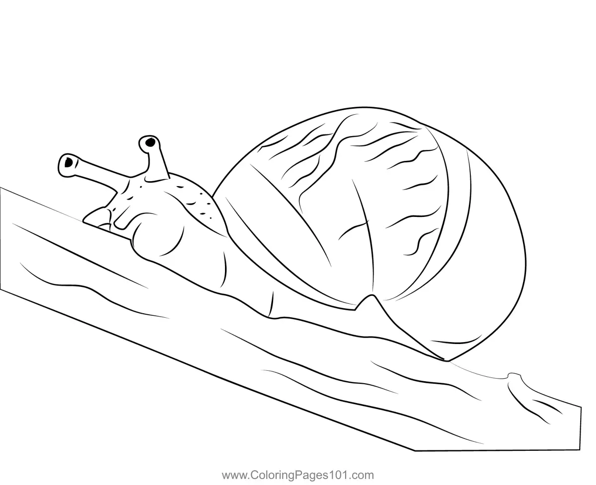 Snails Coloring Pages 8