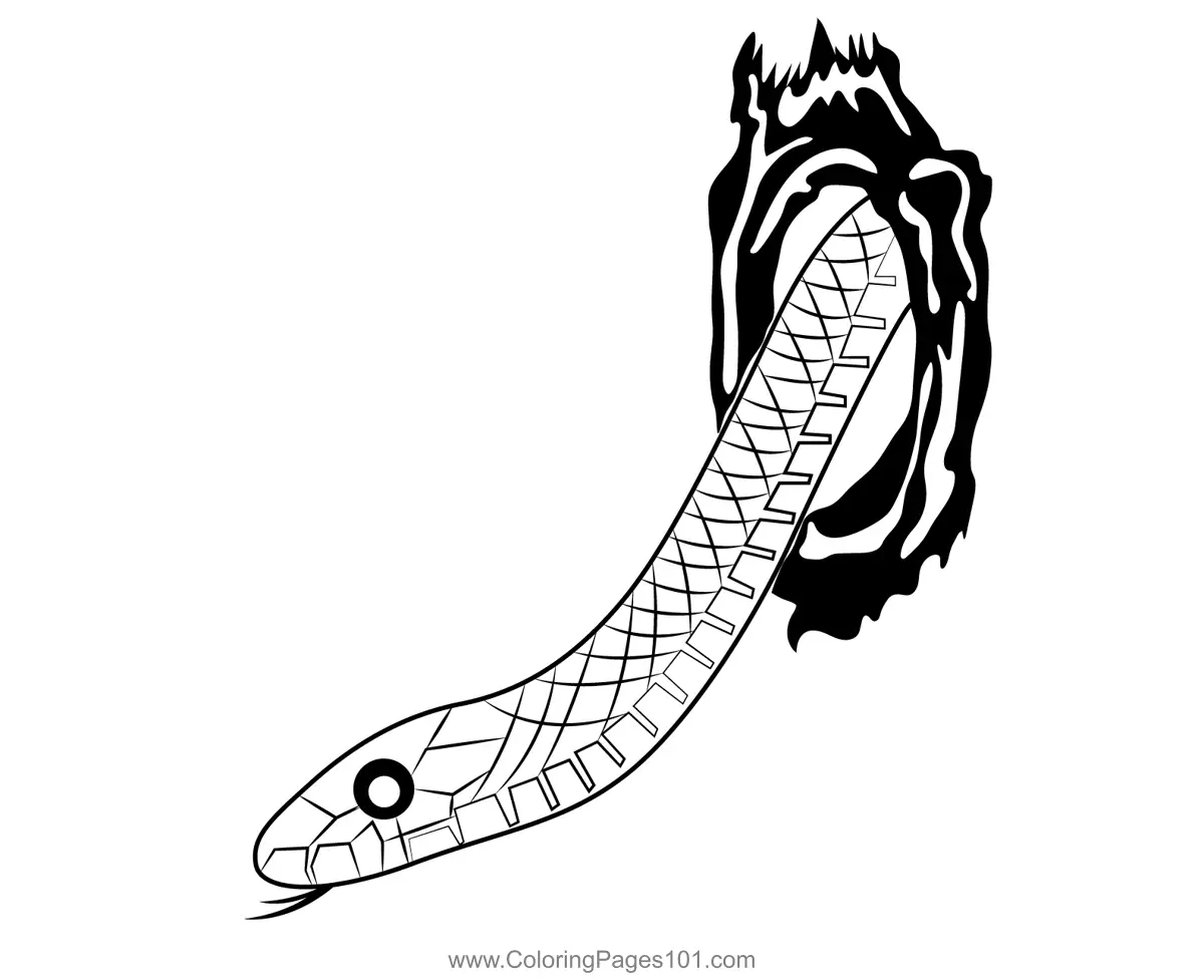 Snakes Coloring Pages 3